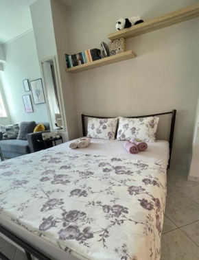 Central Apartment